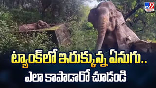 బుడిపెలున్న చేపను చూసారా