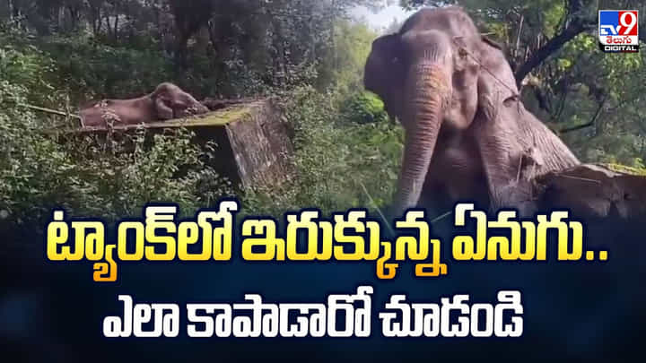 ట్యాంక్లో ఇరుక్కున్న ఏనుగు.. ఎలా కాపాడారో చూడండి ట్యాంక్లో ఇరుక్కున్న ఏనుగు.. ఎలా కాపాడారో చూడండి