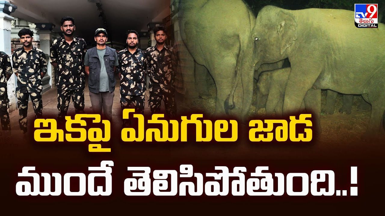 Elephants: ఇకపై ఏనుగుల జాడ ముందే తెలిసిపోతుంది