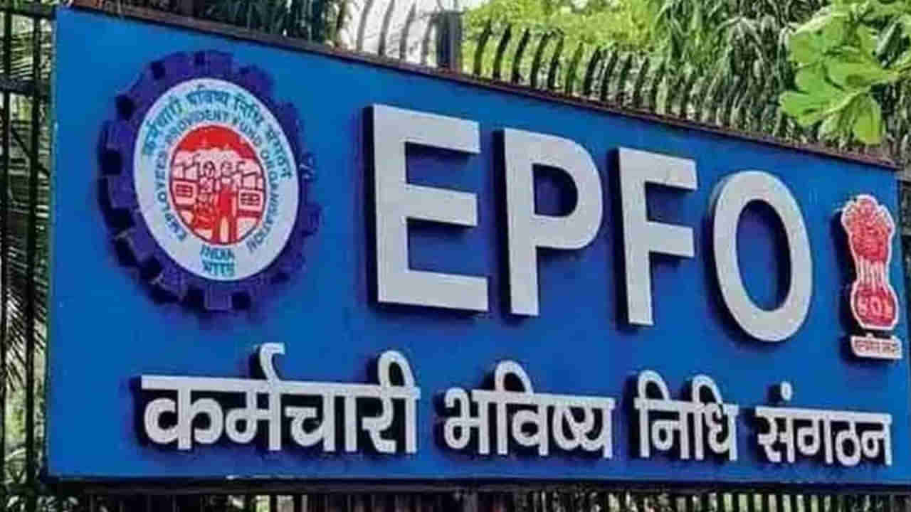 EPFO: పాస్‌బుక్‌ లైట్‌ అనే కొత్త ఫీచర్‌ను తీసుకొచ్చిన EPFO.. దాని ప్రత్యేకతలు ఉపయోగాలు ఏంటంటే?