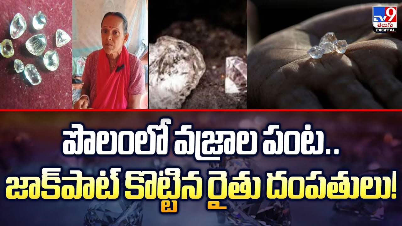 పొలంలో వజ్రాల పంట.. జాక్పాట్ కొట్టిన రైతు దంపతులు వీడియో పొలంలో వజ్రాల పంట.. జాక్పాట్ కొట్టిన రైతు దంపతులు వీడియో