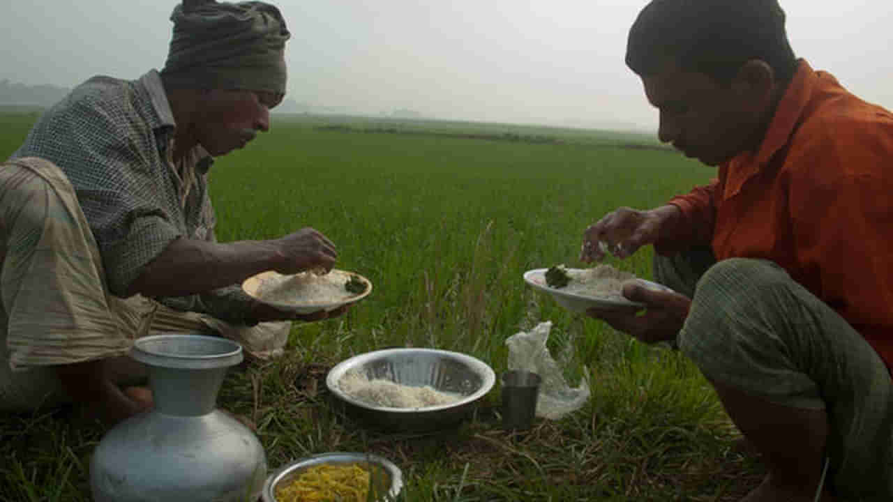 పొలంలో పనులు చేసి తింటున్న రైతులు.. కాసిన్ని నీళ్లు తాగుదామని బిందె దగ్గరకు వెళ్లగా