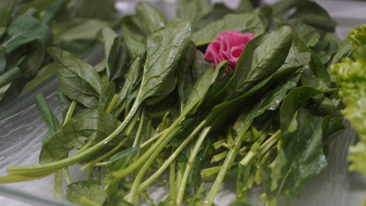 పాలకూర: పాలకూరలో విటమిన్ ఇ, సి , ఫైబర్ ఉంటాయి. ఇవి కాలేయాన్ని దెబ్బతినకుండా, వాపు నుంచి రక్షిస్తాయి. దీన్ని ప్రతిరోజూ తినడం వల్ల ఇన్సులిన్ సెన్సిటివిటీని పెంచడం ద్వారా కాలేయంలో కొవ్వు పేరుకుపోకుండా నిరోధిస్తుంది. దీనిని తినడం వల్ల మన జీర్ణక్రియ కూడా మెరుగుపడుతుంది. ఇది కాలేయంలో అదనపు కొవ్వు పేరుకుపోకుండా చేస్తుంది.