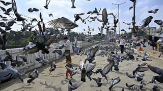 Heart Attack: ఆ ఒక్క డ్రింక్‌ తాగడం వల్లనే యువతలో హార్ట్‌ ఎటాక్‌ ముప్పు.. ఆల్కహాల్‌ కాదండోయ్‌!