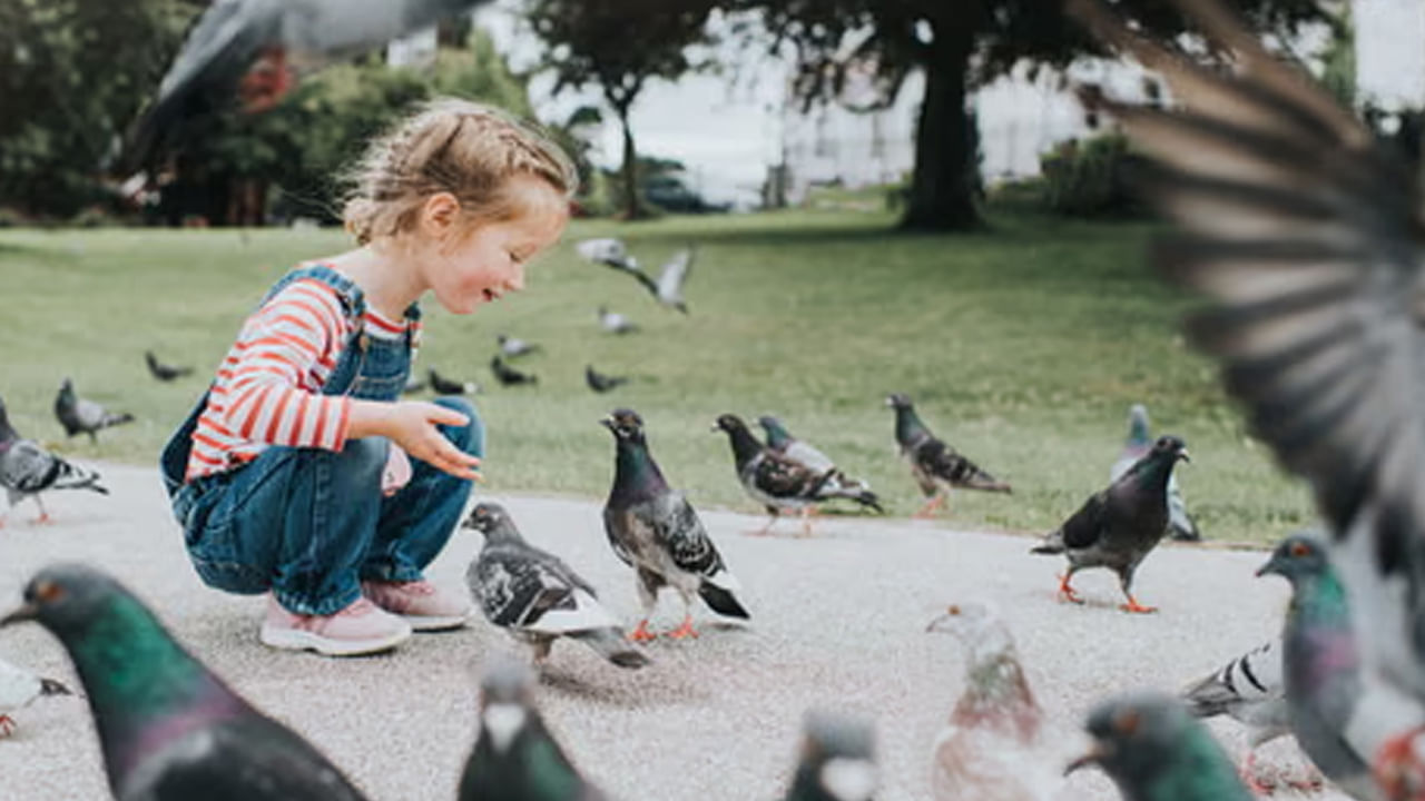 జ్యోతిష్యం ప్రకారం శనివారం ఈ పరిహారం చేయడం వల్ల శని దోషం నుంచి ఉపశమనం లభిస్తుంది. జీవితంలో ఆనందం కలుగుతుంది. పావురాలకు మినప్పప్పు లేదా నల్ల నువ్వులు తినిపించాలి. ఇలా చేయడం ద్వారా శని దోషం తొలగిపోతుంది.
