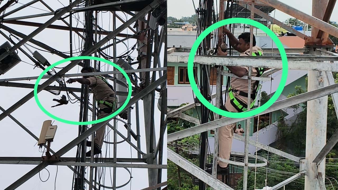 గాలిపటం వైర్లలో చిక్కుకొని సెల్ టవర్కు వేలాడుతున్న ఓ కాకి తల్లడిల్లిపోయింది. గాలిలో వేలాడుతూ కొట్టుమిట్టాడుతున్న కాకి ప్రాణాలు కాపాడడం కోసం ఫైర్ మెన్ తన ప్రాణాలను పణ్ణంగా పెట్టాడు. సెల్ టవర్ పైకి ఎక్కి.. ఆ కాకి ప్రాణాలు కాపాడి అందరి చేత శభాష్ అనిపించుకున్నాడు.