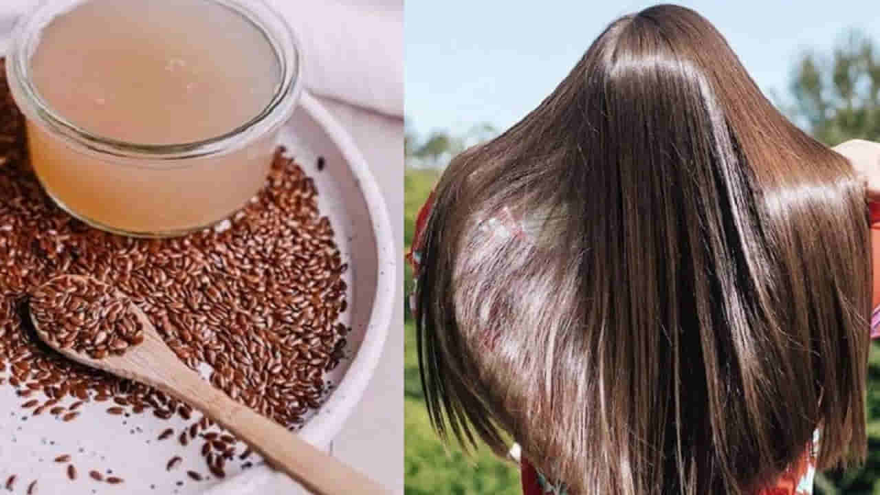 Flaxseed Benefits For Hair: పొడవైన పట్టులాంటి జుట్టు ఆరోగ్యానికి.. అవిసె గింజల ప్యాక్..! ఇలా వాడారంటే..