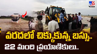 అర్ధరాత్రి వేళ ఆకాశంలో మిరుమిట్లు గొలిపిన కాంతులు.. కారణం ఇదే