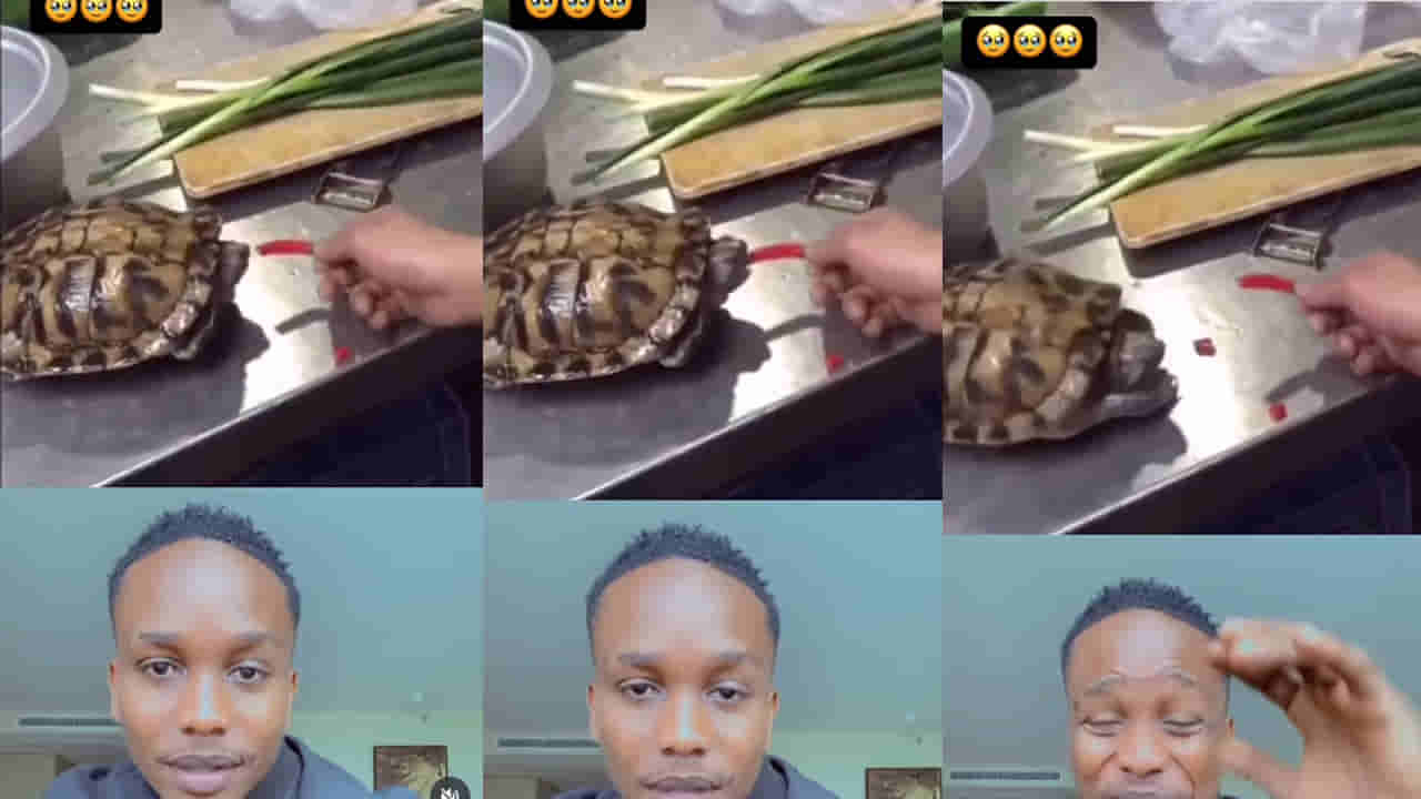 Viral Video: పండు మిర్చి కొరికిన తర్వాత ఈ తాబేలు రియాక్షన్ చూశారా..?