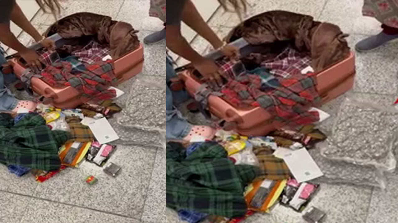 Hyderabad: ఎయిర్పోర్ట్లో అదో మాదిరిగా కనిపించిన లేడీ ప్యాసింజర్.. ఆపి లగేజ్ చెక్ చేయగా..