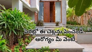 దేశంలో అతిపెద్ద చోరీలు ఇవే.. ఏకంగా తాజ్‌మహల్‌‎నే అమ్మేసిన దొంగలు..