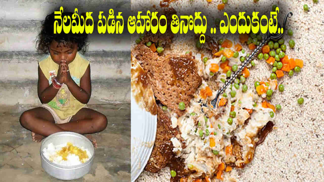 గరుడ పురాణం ప్రకారం నేల మీద పడిన ఆహారం తినడం నిషిద్ధం.. ఈ నియమం వెనుక సైంటిఫిక్ రీజన్ ఏమిటంటే..