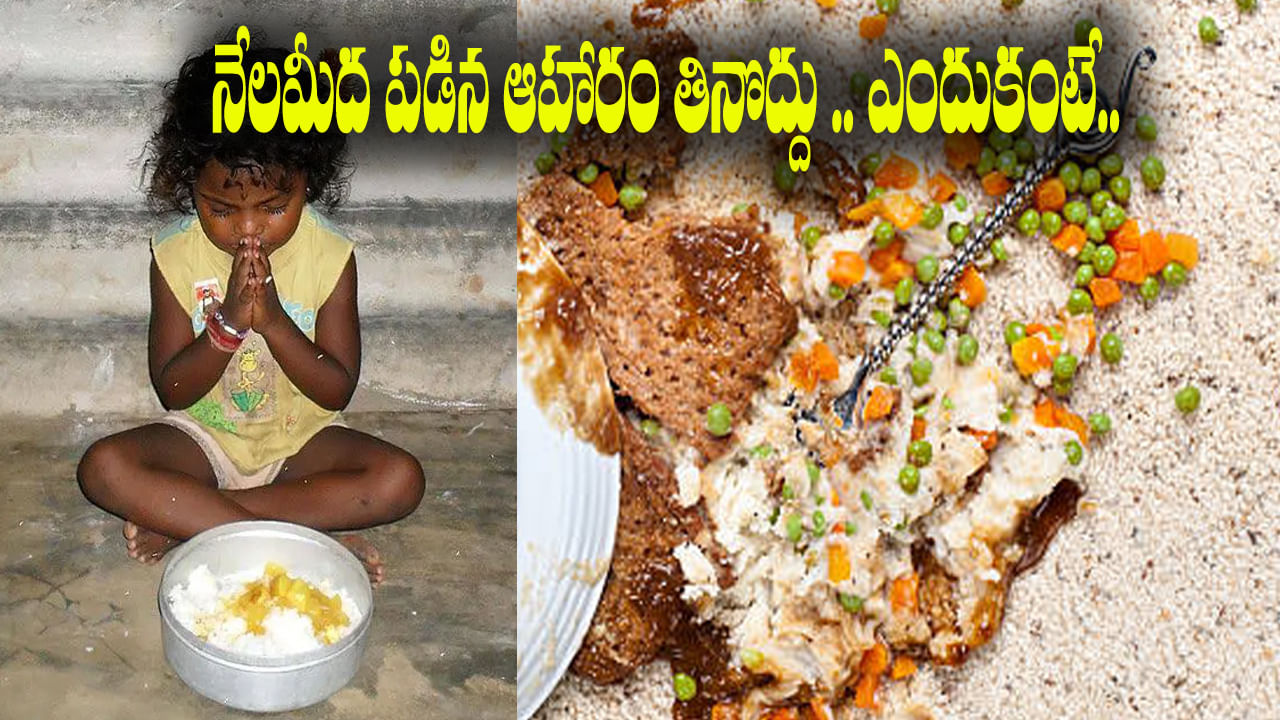 గరుడ పురాణం ప్రకారం నేల మీద పడిన ఆహారం తినడం నిషిద్ధం.. ఈ నియమం వెనుక సైంటిఫిక్ రీజన్ ఏమిటంటే..