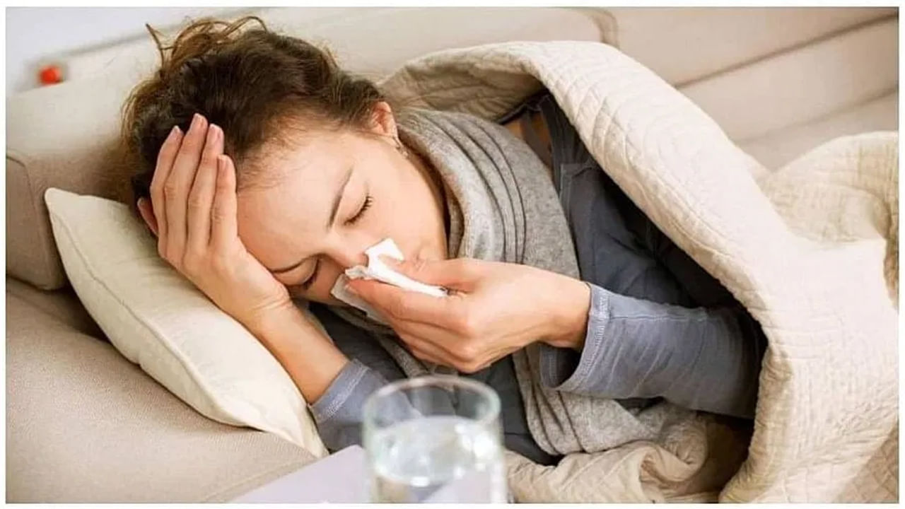Health Tips: అల్లం-తేనెతో ఫ్లూకు చెక్ పెట్టొచ్చా.. ఈ విషయాలు తప్పక తెలుసుకోండి..