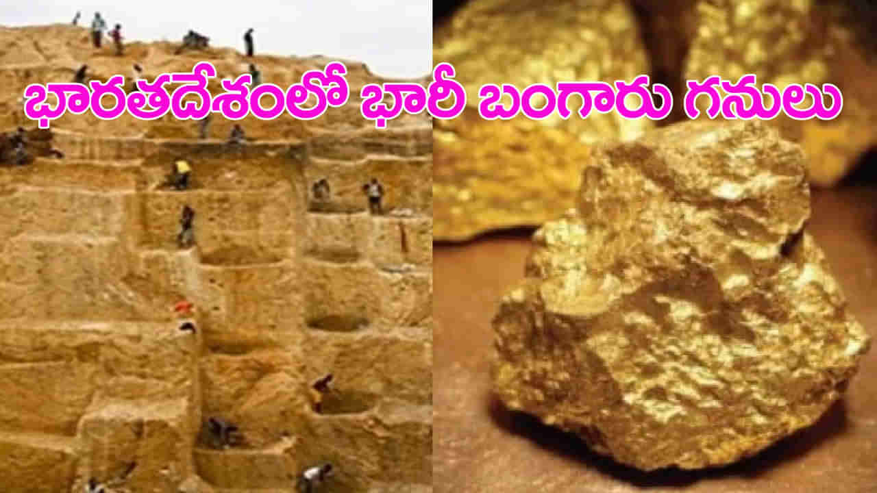Indias Gold Reserves: భారత్‌ బంగారు కొండ.. ఇక్కడ తవ్వినోళ్లకు తవ్వుకున్నంత..! భవిష్యత్తులు ధరలు ఎలా ఉంటాయంటే..
