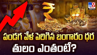 బాలాత్రిపురసుందరిగా విజయవాడ దుర్గమ్మ దర్శనం