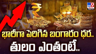 ఎయిర్‌పోర్ట్‌ అధికారుల చేతివాటం బ్యాటరీలు, నూనె దొంగిలించి..