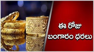 India’s Gold Reserves: భారత్‌ బంగారు కొండ.. ఇక్కడ తవ్వినోళ్లకు తవ్వుకున్నంత..! భవిష్యత్తులు ధరలు ఎలా ఉంటాయంటే..