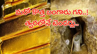 Tax Free Liquor: ఇక్కడ మద్యంపై నో ట్యాక్స్‌.. రికార్డ్‌ స్థాయిలో అమ్మకాలు.. ఎక్కడో తెలిస్తే..