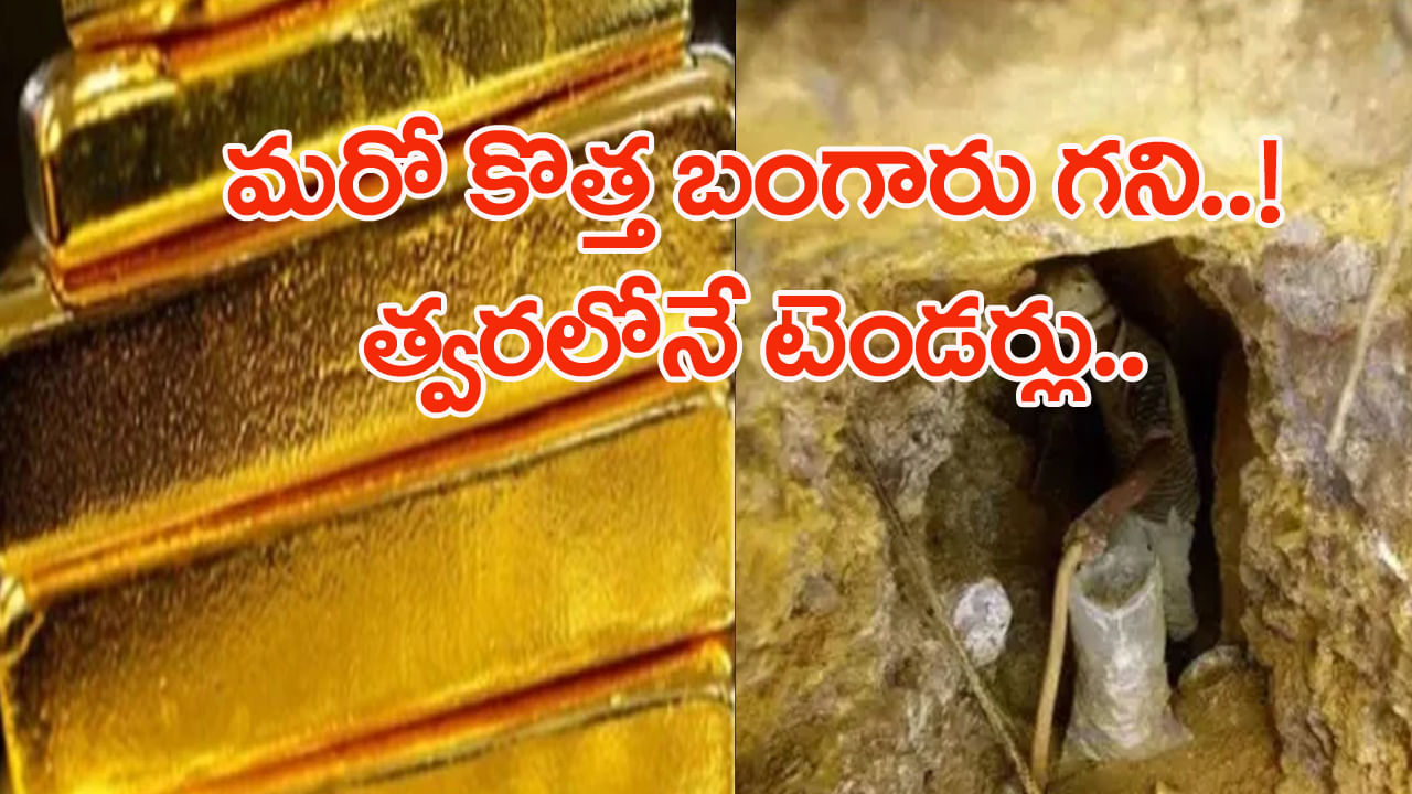 Gold: భారత్‌లో బయటపడ్డ మరో నిధి.. కుప్పలు కుప్పలుగా బంగారు నిల్వలు..!