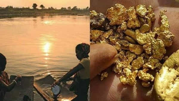 Gold River: నీటితోపాటు బంగారం ప్రవహించే నది.. అక్కడికి వెళ్తే ధనవంతులు అవ్వడం పక్కా..! ఎక్కడంటే..