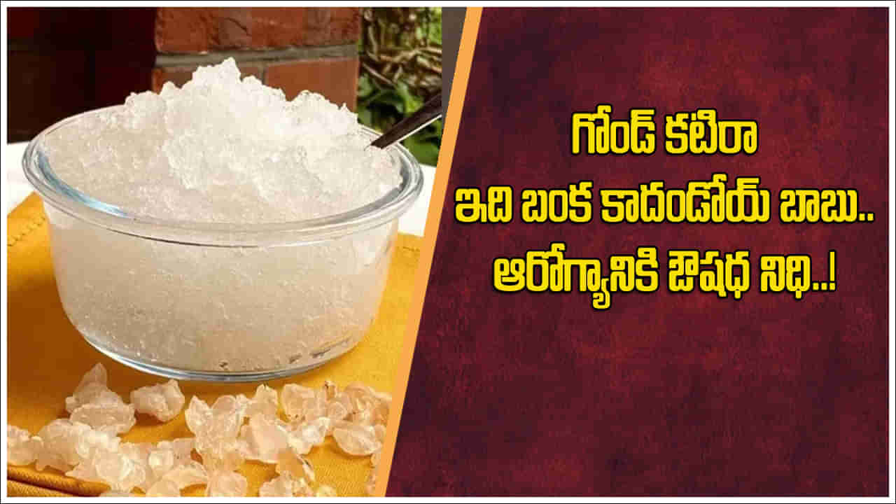 Gond Katira: గోండ్ కటిరా గుర్తుందా..? సీజన్తో పనిలేకుండా తింటే మీలో ఆ శక్తికి తిరుగుండదు..! గొప్ప ప్రయోజనాలు తెలిస్తే..