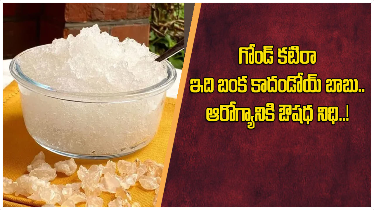 Gond Katira: గోండ్ కటిరా గుర్తుందా..? సీజన్తో పనిలేకుండా తింటే మీలో ఆ శక్తికి తిరుగుండదు..! గొప్ప ప్రయోజనాలు తెలిస్తే..