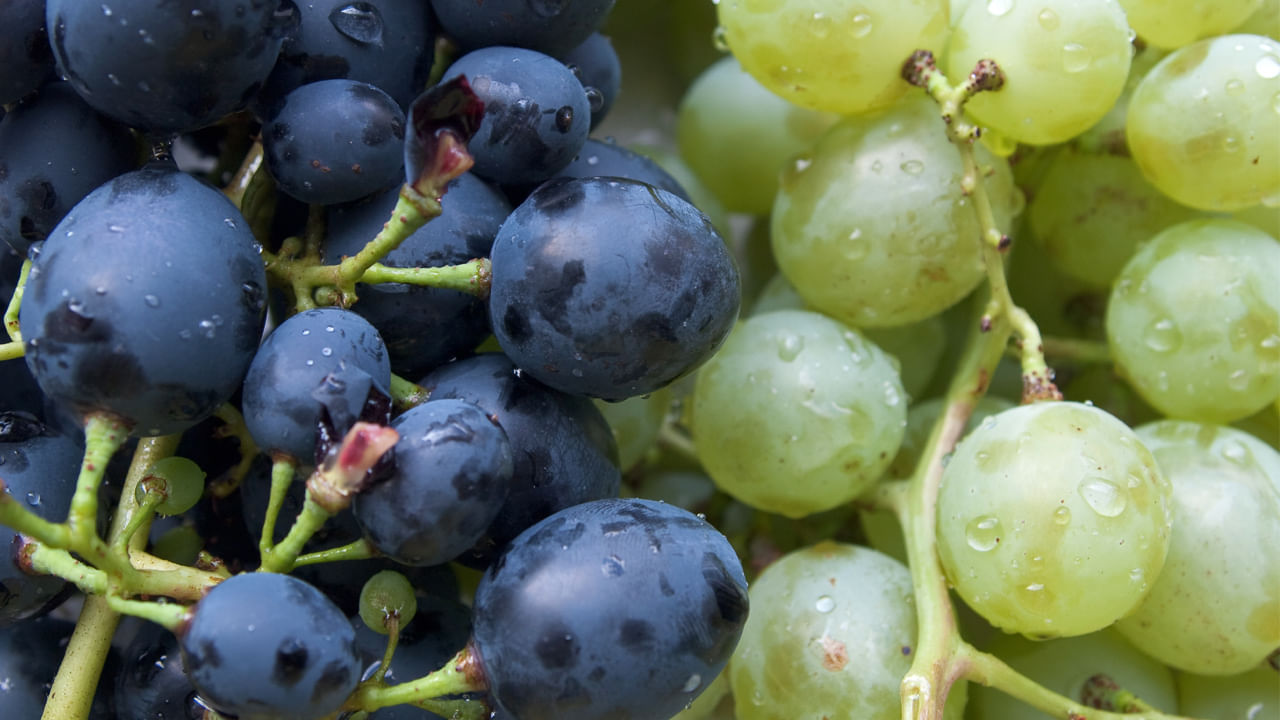 ద్రాక్ష: ద్రాక్షలో రెస్వెరాట్రాల్ అనే పదార్ధం ఉంటుంది. ఇది చర్మాన్ని ఫ్రీ రాడికల్స్ నుండి రక్షిస్తుంది. ఇది ముడతలను తగ్గించడంలో సహాయపడుతుంది. యవ్వనంగా కనిపించే చర్మాన్ని ప్రోత్సహిస్తుంది.