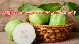 Rasgulla Recipe: గిన్నెడు పాలతో కమ్మనైన రసగుల్లాలు.. ఇంట్లోనే చేయండిలా..