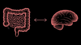 అమ్మాయిలు.. ఇలా చేస్తే.. పింపుల్స్ క్లియర్.. ఫేస్‎లో గ్లో..
