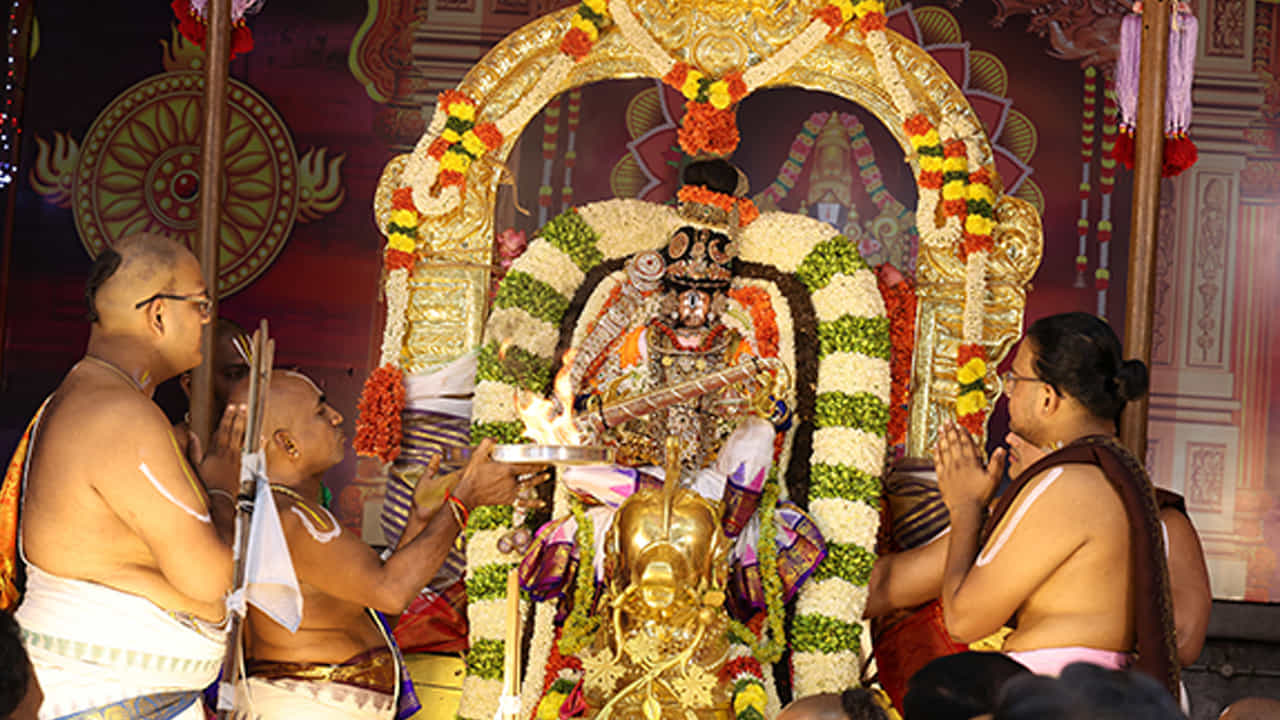 శ్రీవారి సాలకట్ల బ్రహ్మోత్సవాల్లో రెండవ రోజైన గురువారం రాత్రి హంస వాహన సేవవాహనంపై స్వామివారు భక్తులకు దర్శనమిచ్చారు. మాడ వీధుల్లో అంగరంగ వైభవంగా జరిగిన వాహనసేవలో వివిధ కళాబృందాల ప్రదర్శనలు భక్తులను ఎంతగానో ఆకట్టుకున్నాయి.