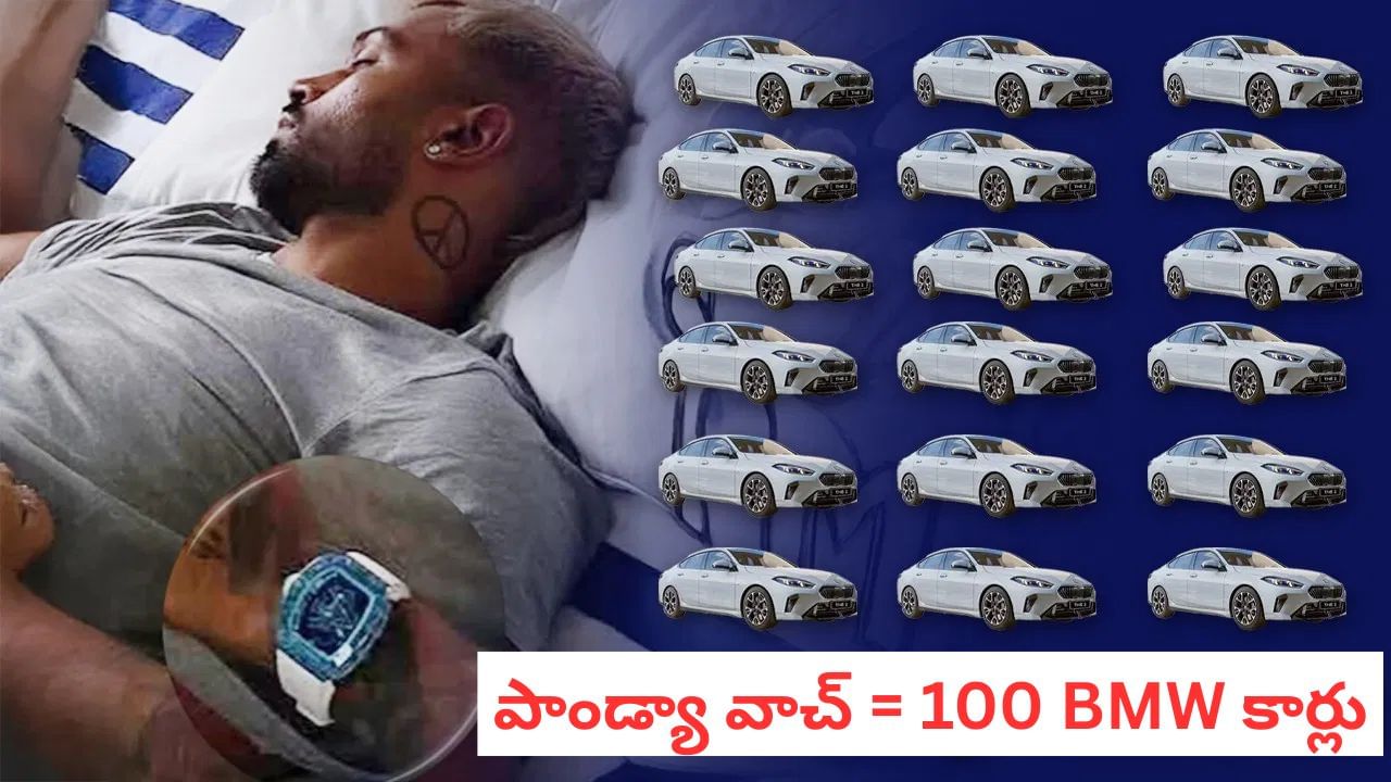 Hardik Pandya: 10, 20 కాదు.. ఏకంగా 100 కంటే ఎక్కువ BMW కార్లు కొనొచ్చు.. హార్దిక్ వాచ్ ధర తెలిస్తే మైండ్ బ్లాంకే..