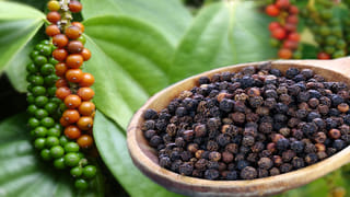 Gut Health: అజీర్తి, గ్యాస్ సమస్యలు లేకుండా ఉండాలా?.. ఉదయం ఈ టిఫిన్స్ తినండి!