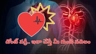 Ayurveda Tea: భారతీయులు మరచిన ఆయుర్వేద టీలు.. ఒత్తిడి, మతిమరుపుకు రామబాణం