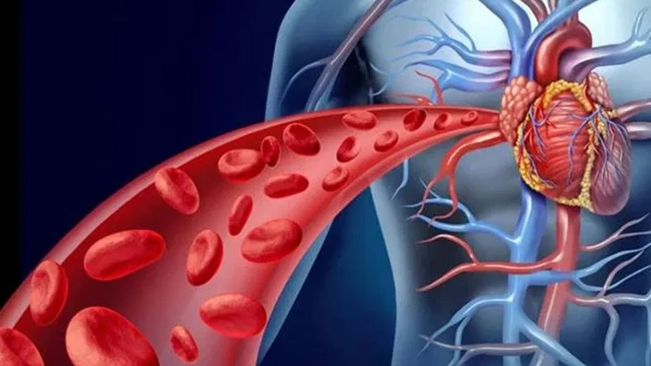Heart Failure 2