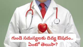 Ginger Vada: నైవేద్యానికి పర్ఫెక్ట్ రెసిపీ.. ఉల్లిపాయ లేని వేడి వేడి అల్లం గారెలు..