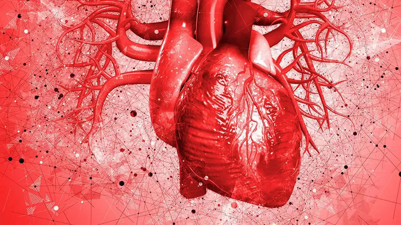 దేశంలో గుండె సమస్యలతో ఎంతో మంది బాధపడుతున్నారు. గుండె సంబంధిత వ్యాధుల కారణంగా ఎంతో మంది మరణిస్తున్నారు. వేళకు ఆహారం తీసుకోకపోవడం, వ్యక్తిగత, వృత్తిపరమైన ఒత్తిళ్లు, తగినంత వ్యాయమం లేకపోవడం వంటివి గుండె పనితీరును మందగింపజేస్తున్నాయి. రక్తనాళాల్లో కోలెస్ట్రాల్ స్థాయిలు పెరిగిపోవడం కూడా గుండె పనితీరును ప్రభావితం చేస్తోందని వైద్య నిపుణులు చెబుతున్నారు. ఆరోగ్యంగా ఉండాలంటే ఆరోగ్యకరమైన ఆహారం తీసుకోవాలని నిపుణులు సూచిస్తున్నారు.