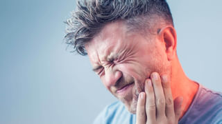 Snake Teeth: పాము నోట్లో ఎన్ని దంతాలు ఉంటాయో తెలుసా? మీరస్సలు ఊహించలేరు..