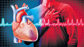 Dussehra Holidays: విద్యార్థులకు గుడ్‌న్యూస్‌.. దసరా సెలవులను ప్రకటించిన ప్రభుత్వం