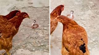 Watch: ఫారెన్‌ ప్రియురాలితో ఇంటికి వచ్చిన కొడుకు.. కుటుంబ సభ్యుల రియాక్షన్‌ ఎలా ఉందంటే..