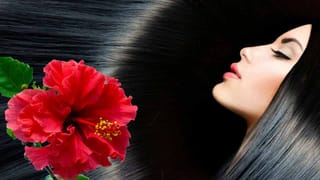 Cardamom Benefits: ఖాళీ కడుపుతో యాలకులు వాడుతున్నారా..? ఎలా తిన్నాసరే.. శరీరంలో జరిగేది ఇదే..!