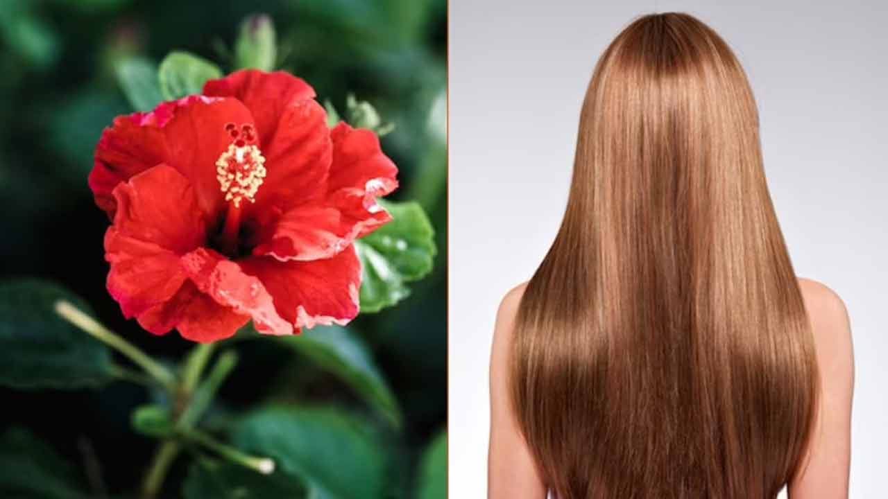 - ఉసిరి జుట్టును నల్లగా చేస్తుంది. కొబ్బరి నూనె తగినంత పోషణను అందిస్తుంది. ఈ పేస్ట్ను జుట్టుకు బాగా అప్లై చేయండి. ఈ పేస్ట్ను ఒకటి నుండి రెండు గంటలు అలాగే ఉంచండి. తర్వాత హెర్బల్ షాంపూతో జుట్టును శుభ్రం చేసుకోండి. నీరు కొద్దిగా గోరువెచ్చగా ఉంటే మంచిది.