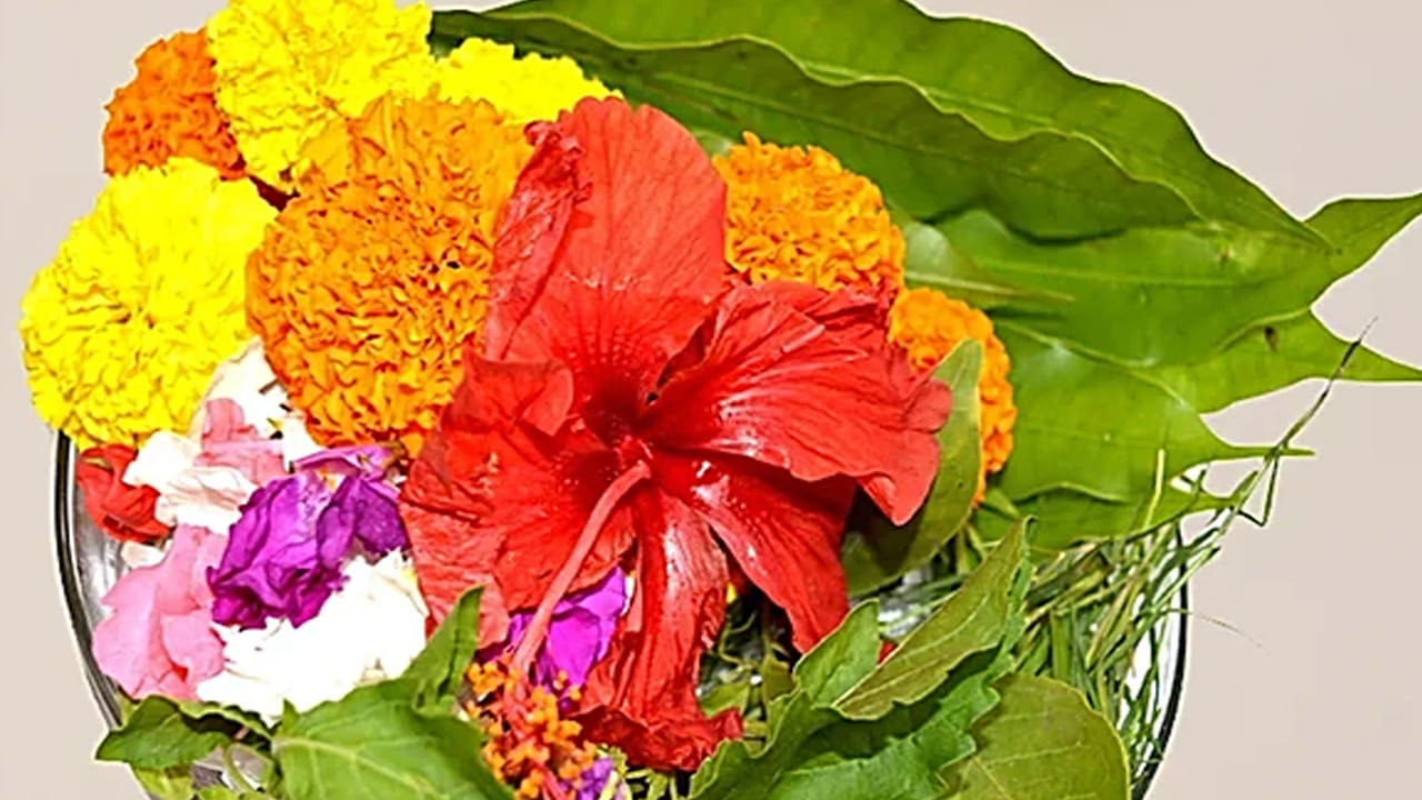 ఇంట్లో పువ్వులు , మొక్కలకు ప్రత్యేక ప్రాముఖ్యత ఉంది. ఇంటి వాతావరణానికి మాత్రమే కాకుండా వాస్తు ప్రకారం.. ఇంటి ఆనందం, శ్రేయస్సుకు పువ్వులు, మొక్కలు చాలా ముఖ్యమైనవి. నమ్మకం ప్రకారం మొక్కలను దేవతలు , దేవుళ్ళకు కూడా చాలా ప్రియమైనవిగా భావిస్తారు. ఇంట్లో నాటిన కొన్ని మొక్కలు సానుకూల శక్తిని ప్రసారం చేస్తాయి. మరికొన్ని ప్రతికూల శక్తిని ప్రసారం చేస్తాయని చెబుతారు. అందువల్ల వాస్తు శాస్త్రం ప్రకారం పువ్వులు, మొక్కల గురించి పూర్తిగా తెలుసుకున్న తర్వాతే ఇంట్లో పెంచుకోవాలి. 