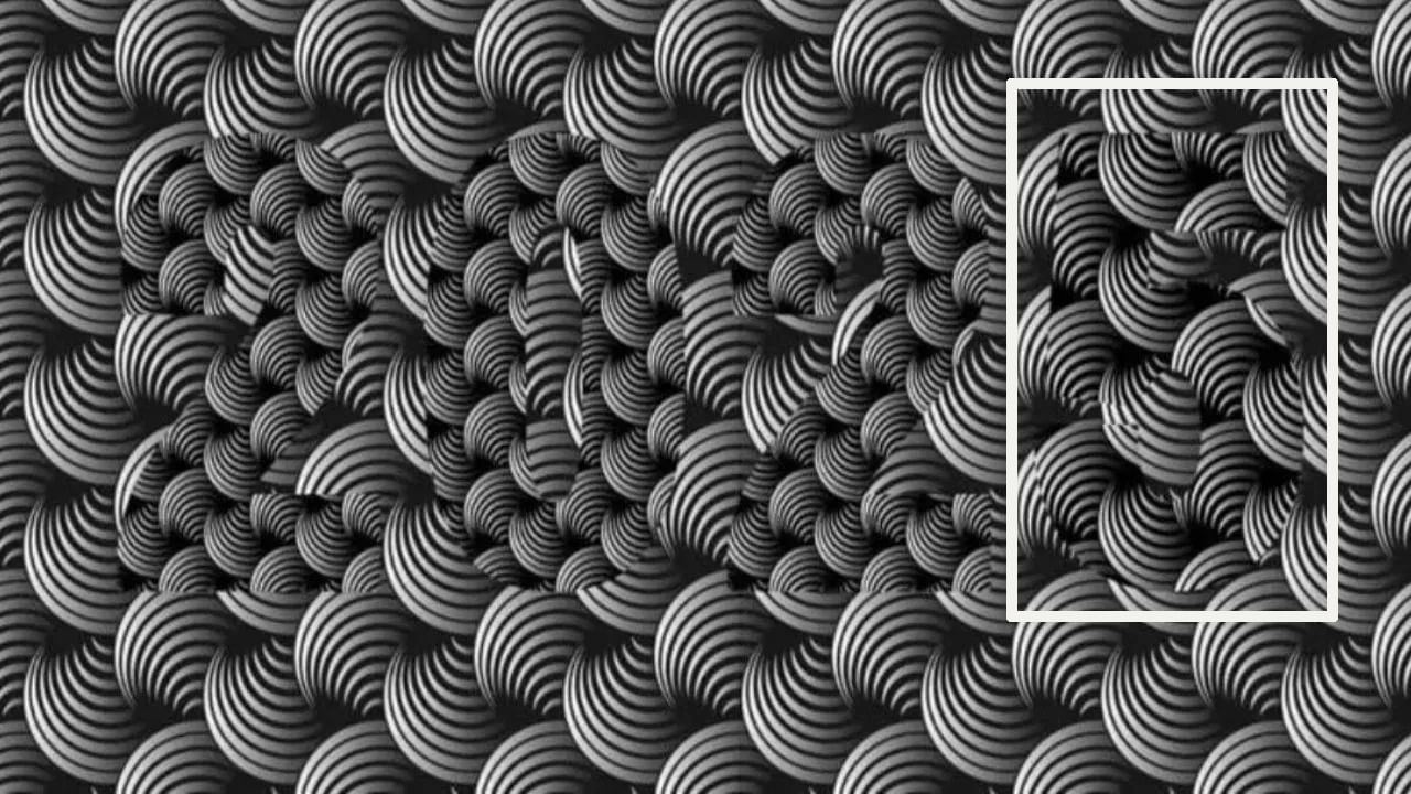 Hidden Number In This Picture