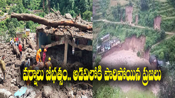 Monsoon Disaster: హిమాచల్లో మేఘాల విస్ఫోటనం.. విరిగిపడిన కొండచరియలు.. అడవుల్లోకి పారిపోయిన ప్రజలు..