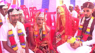 ధైర్యముంటేనే చూడండి.! కోబ్రాను సజీవంగా తిన్న కోడి.. చూస్తే దడుసుకుంటారు!