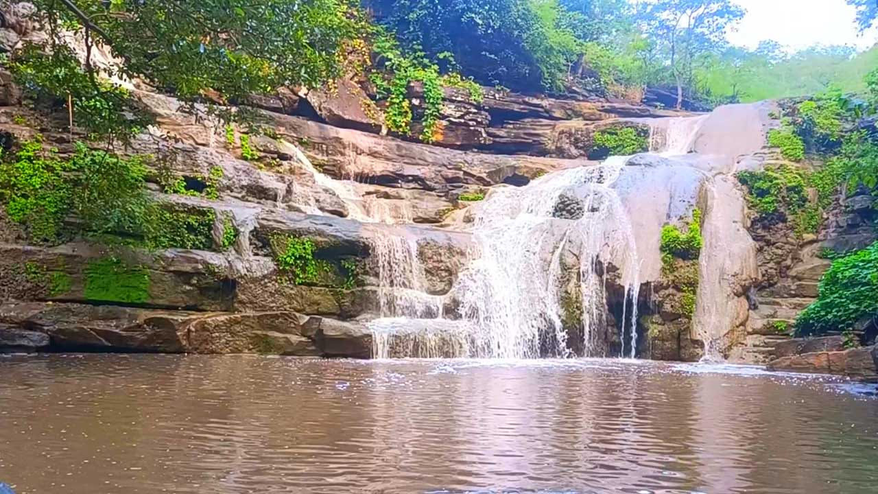 కొమరం భీమ్ ఆసిఫాబాద్ జిల్లాలో ఉన్న తిర్యాణి మండలంలోని తిర్యాణి జలపాతం చాలా బాగుంటుంది. నీటి సెలయేళ్ల సవ్వడులు, పచ్చటి చెట్లు, దట్టమైన అడవిలో , ఎత్తైన కొండలు, ఉప్పొంగే ప్రవాహాల మధ్య మీరు ఆనందంగా గడపాలి అనుకుంటే తిర్యాణి జలపాతాలు బెస్ట్ ప్లేస్. ఇవి హైదరాబాద్ నుంచి దాదాపు 310 కిలోమీటర్ల దూరంలో ఉంటాయి.