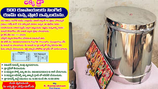 Watch Video: అప్పుడేపుట్టిన కుక్కపిల్లను ఎత్తుకెళ్లిన కోతి.. మిగతా కుక్కలతో కలిసి తల్లి ఏం చేసందో చూడండి