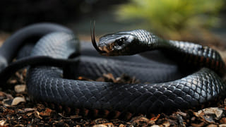 Health Tips : గుండెపోటు వస్తుందని చెప్పే 7 సంకేతాలు ఇవే.. పట్టించుకోకపోతే అంతే సంగతులు..