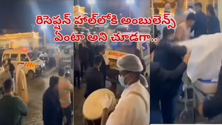 Viral Video: నల్లని బొగ్గు గనుల్లో తెల్లని శ్వేత నాగు హల్‌చల్‌.. చూస్తుండగానే మాయం..! అరుదైన వీడియో వైరల్